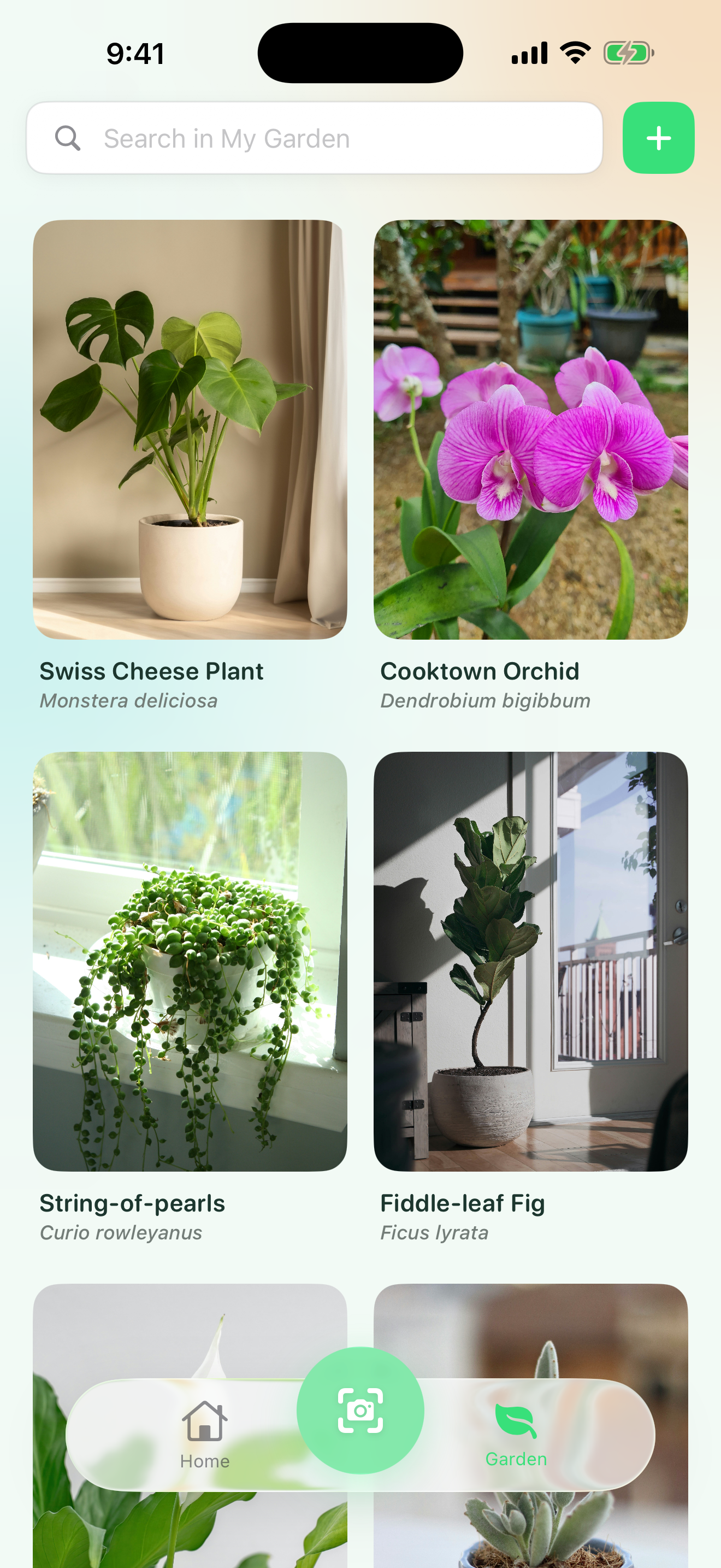 Aroida digital garden dashboard